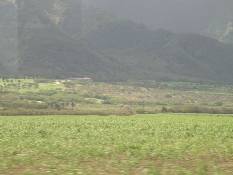 02_Hawaii_2 133.jpg (41175 bytes)